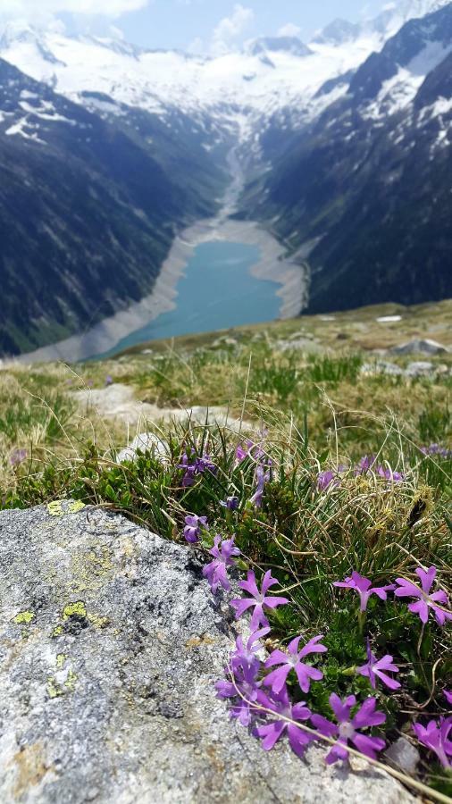 Hotel Pension Eichenhof Ried im Zillertal Eksteriør billede